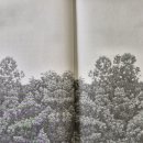 시가건축 건축사사무소 이미지