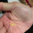 성미목장 이미지