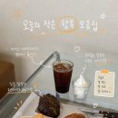 개밥주는고양이 | 포항 핫플 카페 추천 어레인지먼트 후기