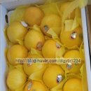 주원(2)농장 이미지