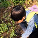 숲의 마음 이미지