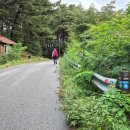 영진1리 이미지