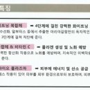 인피니블랑
