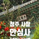 안심사 - 1212 | 전국 절 투어 청주사찰 청주 천년고찰, 청주 안심사 고즈넉한 절