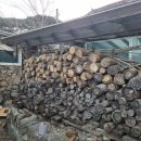 장서카센타 이미지