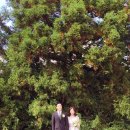 초이 비스포크 이미지