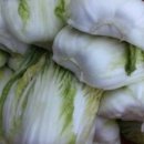 바람이좋은화산마을 이미지