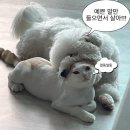 케이플랜트