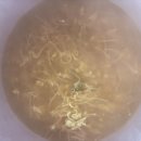 스타디움앤쿡 이미지