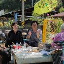 만물쇼핑센타 이미지