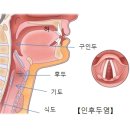 인후종로약국 이미지