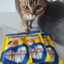 타임펫 | 고양이 간식 추천｜참치 원물이 보이는 비마이펫 삼색츄 4냥이 급여 후기