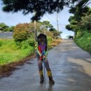 판관오리 이미지