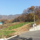 백년부동산공인중개사사무소 이미지