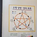 김앤송 사주타로