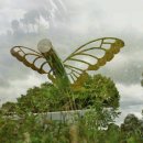 희망분수 이미지