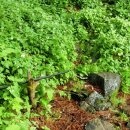 백련약수터 이미지