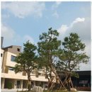 메종리안카카오공인중개사사무소 | 송산그린시티부동산 새솔동 타운하우스, 믿고 맡길 수 있는 부동산 중개 서비스