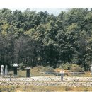 감천할아버지 이미지