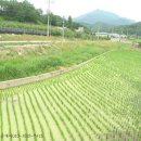 광공인중개사사무소 이미지