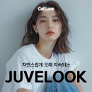 셀러브의원 이미지