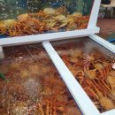 유니회대게식당