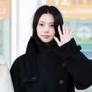 도도한