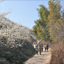 섬진농원 이미지