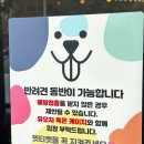 은미식당 | [공지] [대부도 은미네 칼국수] 가족, 아이와 가기 좋은 애견동반 칼국수 맛집 후기