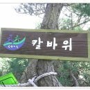 솔향기공원 이미지