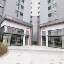 고덕 국제신도시 리슈빌 레이크 파크 이미지