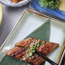 스끼지 | 정성이 가득한 광안리횟집, 광안다찌 후기