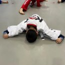 KAT태권도 이미지