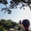 다이나믹어니