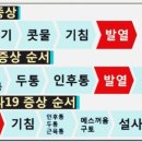 참사랑 연합의원 이미지