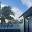 당구전쟁 | 베트남 푸꾸옥 가족여행(아이 동반) 3박 5일 일정 2일차