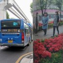 영선신시장 이미지