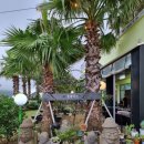 블랙피그엔산방산파크텔 이미지