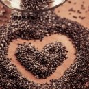 씨드요가 이미지