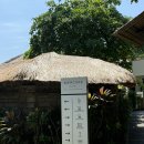 사누르 제주 | 발리여행 발리보름살기 발리사누르숙소 머큐어리조트 사누르