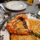 씨드하모니 | 송도 타임스페이스 맛집 파스타 전문 나그리고너