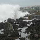 표선리마을회관 이미지