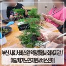 학장종합복지관 이미지