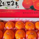 방가네농장 이미지