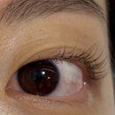 디에스타의원 | 광교 속눈썹펌 추천 ㅣ 테디뷰티 광교점 후기