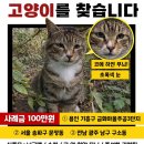 (별밤) 나전칠기 | 통영 숨은 보물 | 골동품 가게 동문당 방문 후기