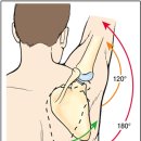 새터 한의원 이미지