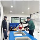 늘푸른 경희대 태권도장 이미지