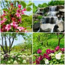 꽃향기정원 | 서울식물원산책 2부 - 주제정원(feat. 고전 속의 꽃향기전)