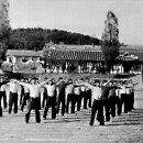 임해농장 이미지